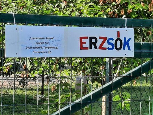 Szemérmetes Erzsók Nyaralóház Villa Gyomaendrőd Kültér fotó